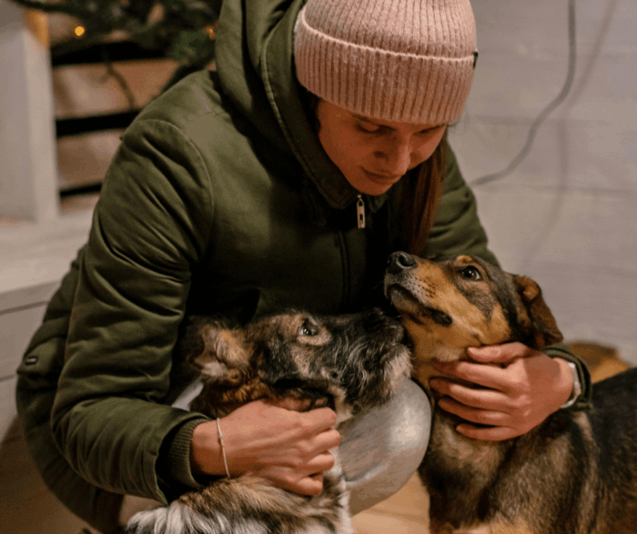 Creating a Peaceful Goodbye: Preparing for At-Home Pet Euthanasia