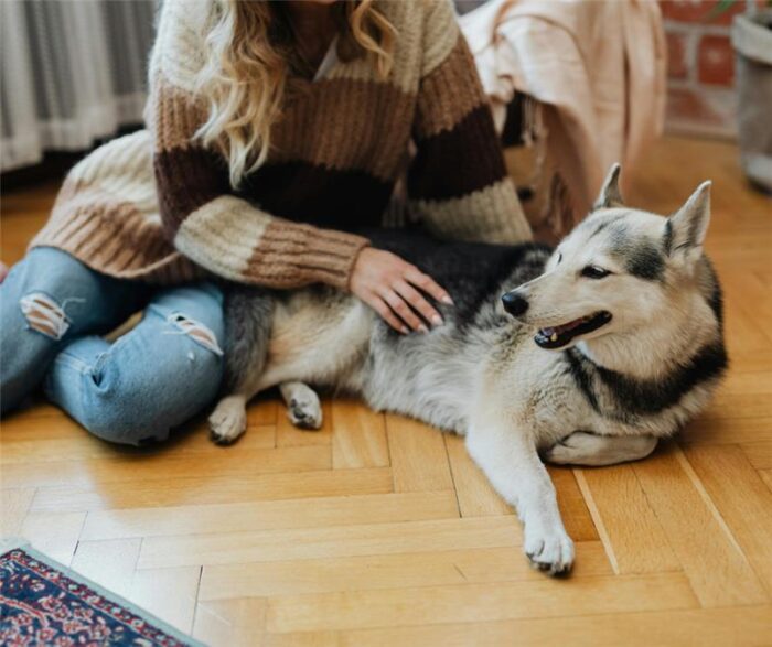 Woman stroking white and grey dog